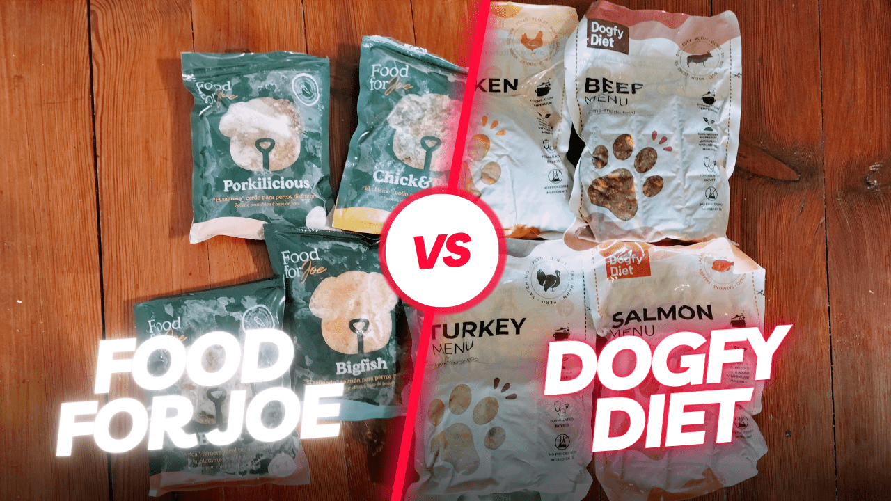 dogfy vs food for joe