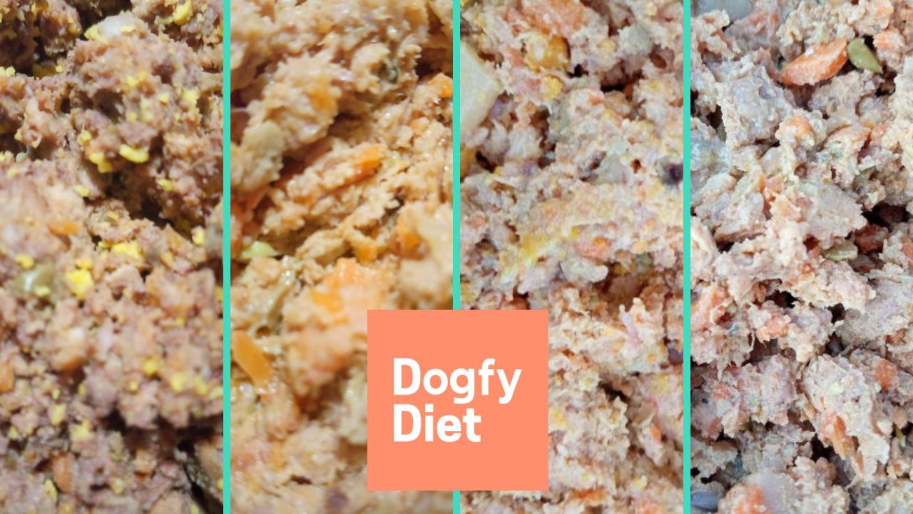 dogfy diet recetas